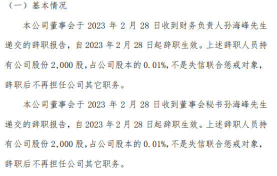 爱特电子财务负责人孙海峰辞职2022上半年公司净利188.27万 第1张